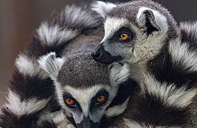 《战地2042》开发者承认解决问题花的时间太久